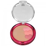 PHYSICIANS FORMULA MAKEUP&BLUSH BRONZ/NATURAL