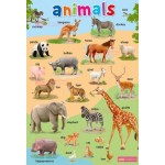 โปสเตอร์ Animals