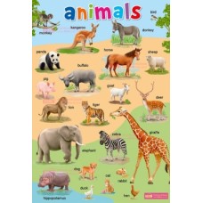 โปสเตอร์ Animals