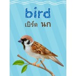 การ์ดสัตว์น่ารัก อังกฤษ-ไทย