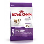 Royal Canin GIANT PUPPY ชนิดเม็ด สำหรับลูกสุนัขพันธุ์ยักษ์ช่วงอย่านม-8 เดือน 15 kg