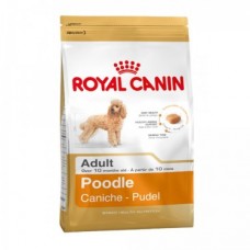 Royal Canin Poodle Adult ชนิดเม็ด สำหรับสุนัขพันธุ์พูเดิ้ล 10 เดือนขึ้นไป 500 กรัม