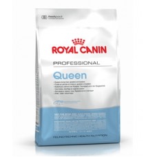 Royal Canin Queen ชนิดเม็ดเม็ด สำหรับแม่แมว ช่วงผสมพันธุ์-คลอด 10 kg