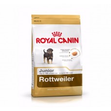 Royal Canin Rottweiler Junior ชนิดเม็ด สำหรับลูกสุนัขพันธุ์ร็อทไวเลอร์ 12 kg