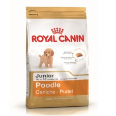 Royal Canin Poodle Junior ชนิดเม็ด สำหรับลูกสุนัขพันธุ์พูเดิ้ล ช่วงหย่านม - 10 เดือนขึ้นไป 500 กรัม