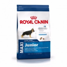 Royal Canin Maxi Junior ชนิดเม็ด สำหรับลูกสุนัข พันธุ์ใหญ่ 10 kg