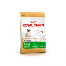 Royal Canin Pug Junior ชนิดเม็ด สำหรับสุนัขพันธุ์ปั๊กอายุไม่เกิน 10 เดือน 500 กรัม