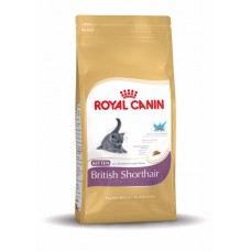 Royal Canin British Shorthair Kitten ชนิดเม็ด สำหรับลูกแมวพันธุ์ British Shorthair และแม่แมวที่ให้นมลูก 10 kg