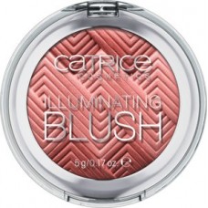 Catrice Illuminating Blush 010