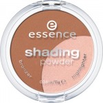 Essence shading powder 02