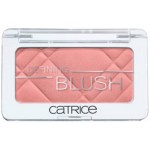 Catrice Defining Blush 100