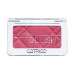 Catrice Defining Blush 110