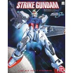1/60 Strike Gundam Big Scale