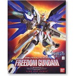 1/60 Freedom Gundam Big Scale