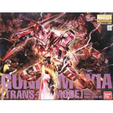 1/100 MG GN-001 Gundam Exia Trans-AM Mode