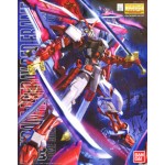 1/100 MG Gundam Astray Red Frame 