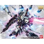 1/100 MG Providence Gundam G.U.N.D.A.M Premium Edition