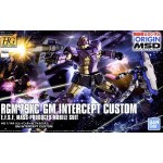 1/144 HGOrigin GM Intercept Custom