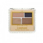 CANMAKE PERFECT BROWN EYE NO. 04