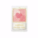 CANMAKE GLOW FLEUR CHEEKS #04