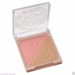 CANMAKE Cheek & Bronzer  No.01