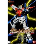 1/100 HG-06 Rising Gundam