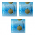 Nakanishi Melon Flavor / ชิ้น