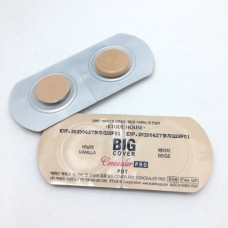 Etude House Big Cover Pot Concealer Pro #Vanilla #Beige (Tester)