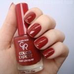 Golden Rose Color Expert Nail Lacquer no.105