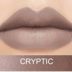 LASplash Lip Couture Waterproof Liquid Lipstick Cryptic