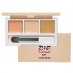 Etude House Big Cover Concealer Kit