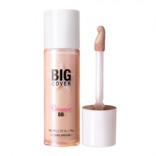 Etude House Big Cover Concealer BB SPF50+/PA+++ 30g. #17 Vanilla