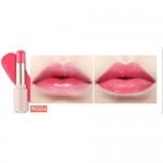 Etude House Dear My Enamel Lips-talk #PK004