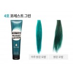 Etude House Two Tone Treatment Hair Color #4 Forest Green