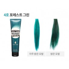Etude House Two Tone Treatment Hair Color #4 Forest Green