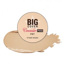 Etude House Big Cover Pot Concealer PRO #Sand