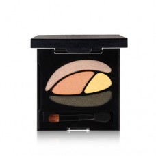 Touch In Sol Ideal Visual Multi Color Eye Shadow #1 Orange holic