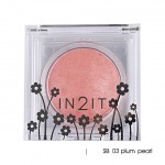 In2It Sheer shimmer blush SB 03 plum pearl