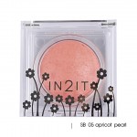 In2It Sheer shimmer blush SB 05 apricot pearl