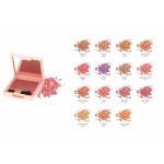 LIFEFORD PARIS CHEEK COLOR C21 (7g)