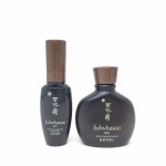 Sulwhasoo MEN Basic Kit 2 Items