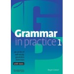 GRAMMAR IN PRACTICE 1