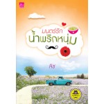 มนตร์รักน้ำพริกหนุ่ม (นวนิยายชุด เดชพ่อตา) (ลิซ)