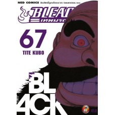 Bleach เทพมรณะ 67