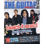 The Guitar Blackhead & Silly Fools