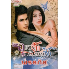 อุบัติรักที่ปลายฟ้า