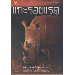 แกะรอยแรด