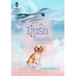 อุ่นรักในกองบิน (ชุด รักเต็มฟ้า)