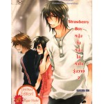 Strawberry Boy หนุ่มซิ่งหนุ่มใสหัวใจวุ่นวาย เล่ม 02