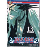 Bleach เทพมรณะ 13